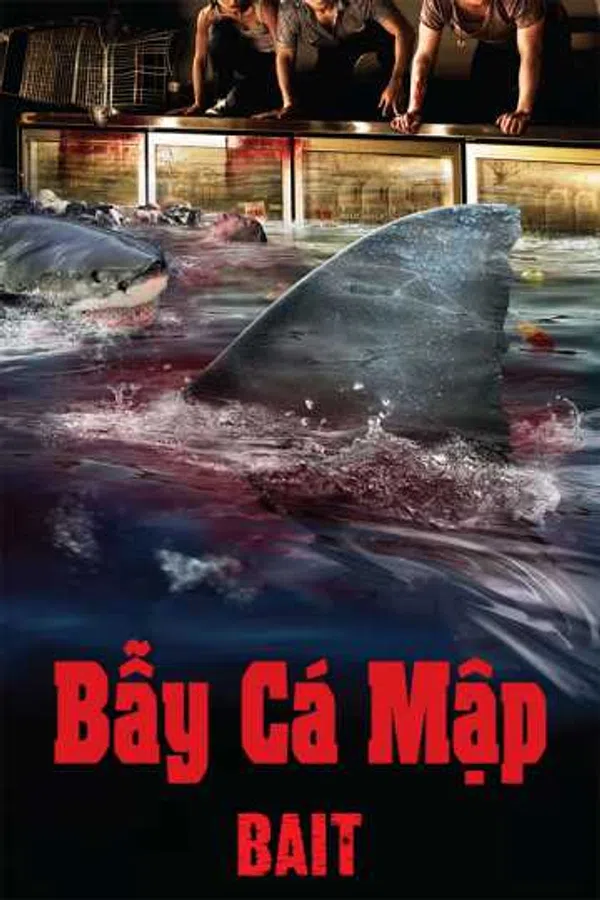 Poster phim Bẫy Cá Mập trên Phim Mới